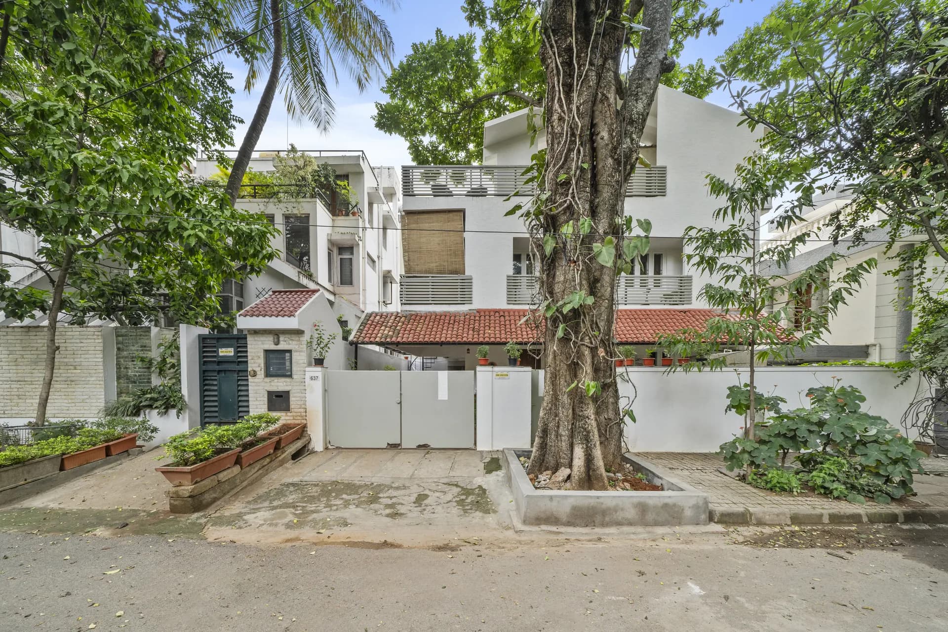 Front of a white villa behind a gated driveway, with a large tree and planters at the entrance.