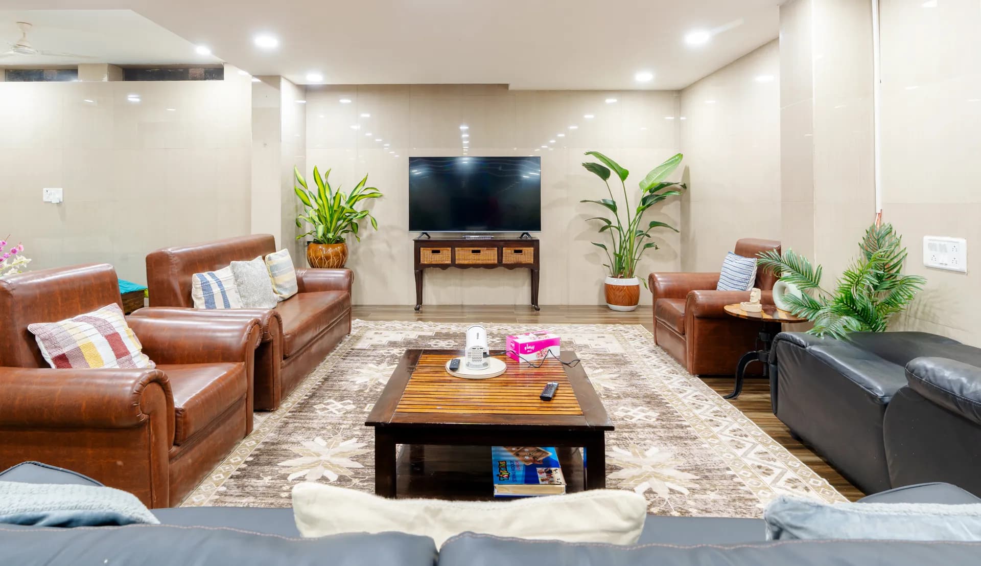 Living room with leather armchairs, a wall-mounted TV, potted plants and a wooden coffee table on a patterned rug.