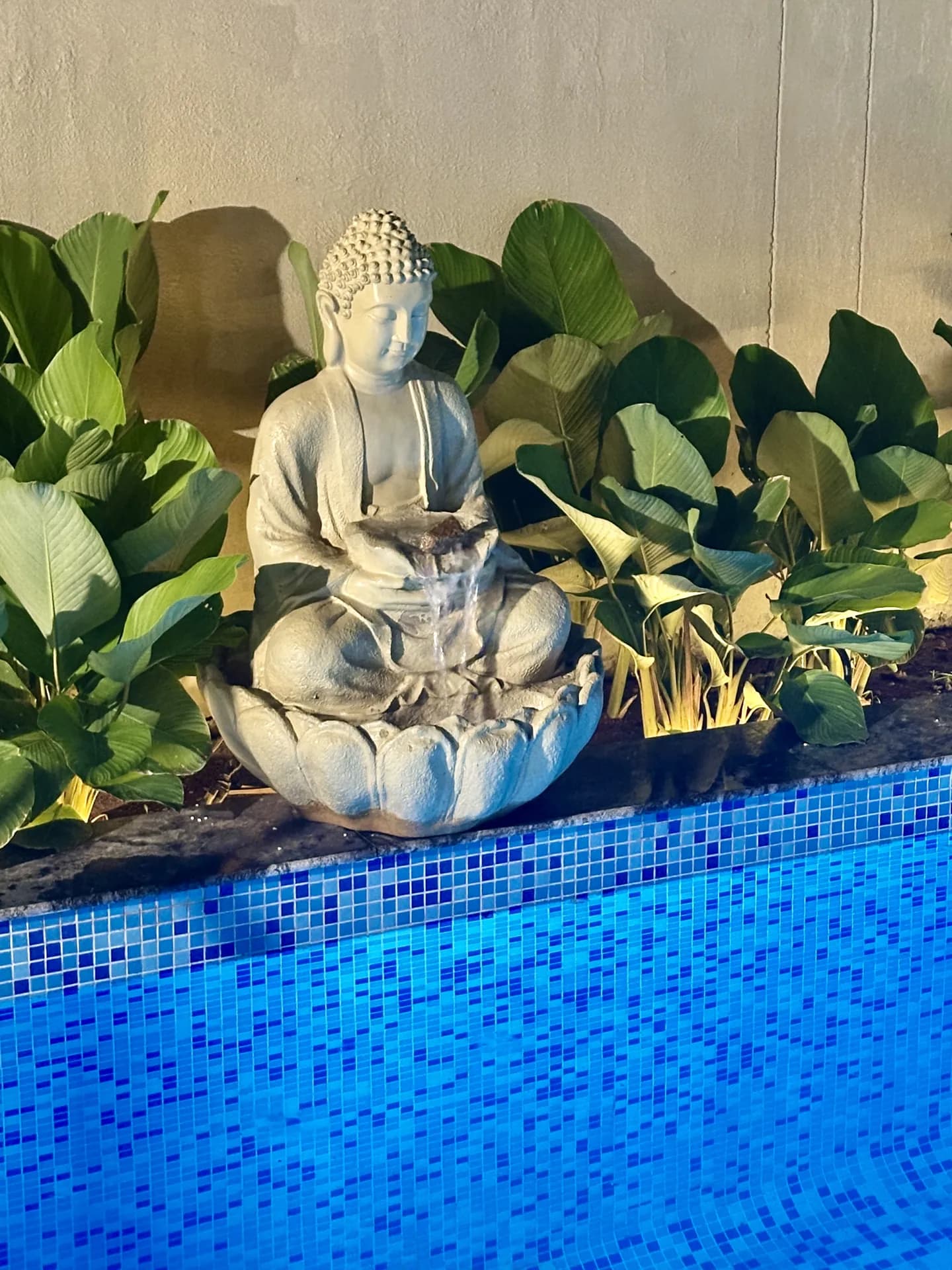 Pool 8 at Soul Club, Bengaluru