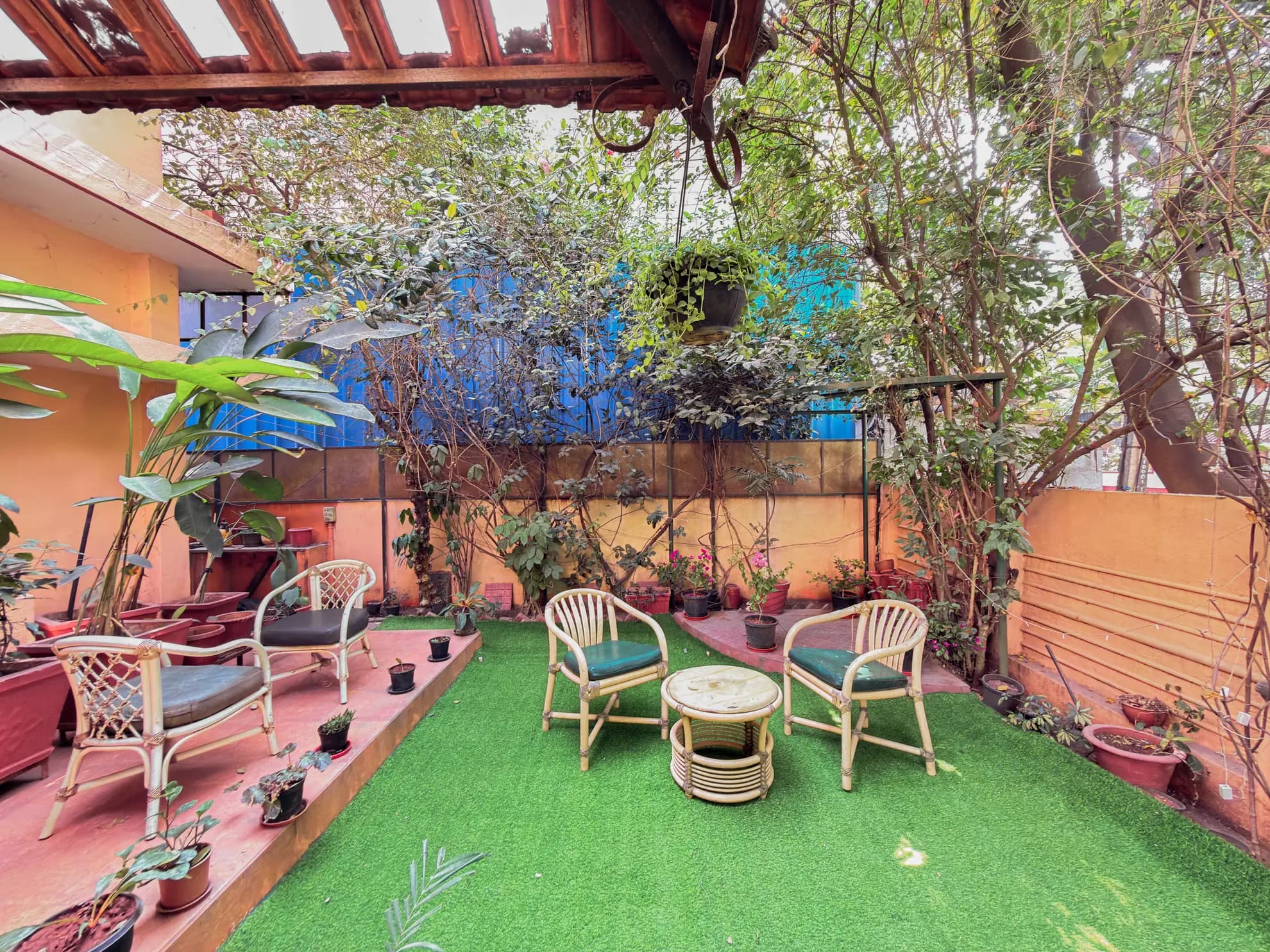 Covered garden terrace with artificial grass, two cane armchairs, a round cane table and potted plants.